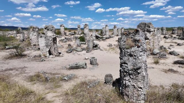 Summer view of rock formation Pobiti Kamani (Upright Stones), Varna region, Bulgaria
