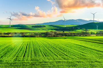green sunset field with grass hills and wind power plant generating pure clean electric enerdy on background of landscape. green energy of future from wind turbines © Yaroslav