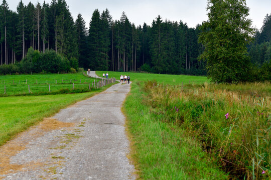 Wanderweg am Elbsee bei Aitrang im bayerischen Ostallg&auml;u	
