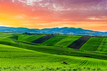 Obraz premium green spring or summer farmland landscape with beautiful hills of farm covered with fresh grass and plants with amazing mountains and sunset cloudy sky on background