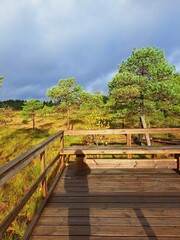 Obraz premium Rainy evening in the National Park