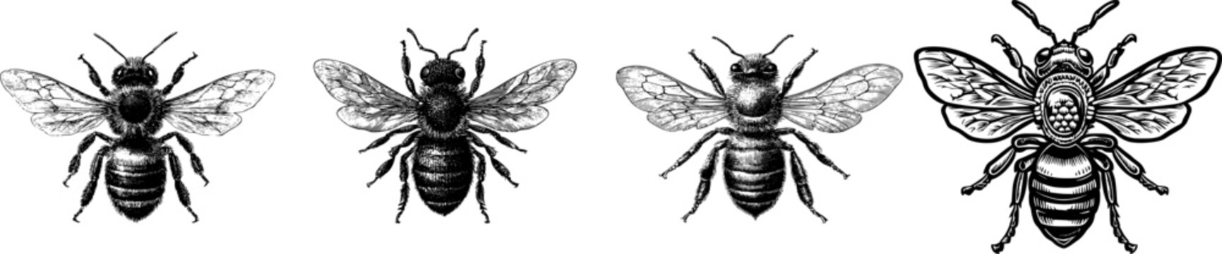 A classic vintage honey bee emblem logo design features a bold black ink outline of a detailed, realistic bee on a solid white background, suitable for vectorization with sharp contrast and clear