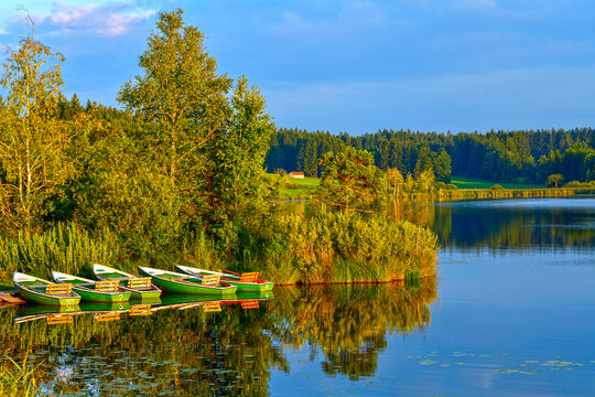 Der Elbsee, Moorsee bei Aitrang im bayerischen Ostallg&auml;u	