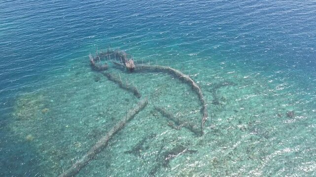 A high-angle drone shot performs a smooth semi-orbital movement over a traditional Indonesian "Sero" fish trap built in the shallow, turquoise waters of Halmahera