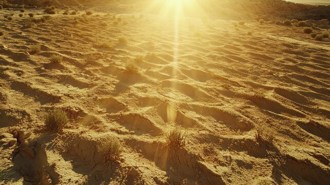 Arid desertification landscape under bright sun, showcasing impacts of climate change on once fertile earth.