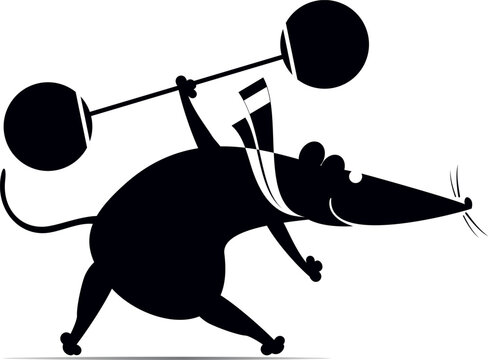 Strong rat or mouse holds a weight