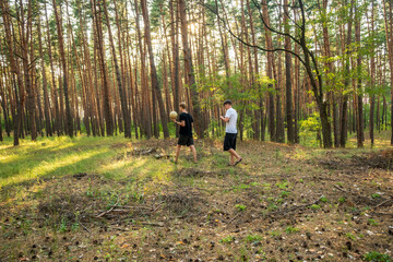 Fototapeta premium Two Teenage Friends Walking through Sunlit Pine Forest with Soccer Ball and Smartphone at Golden Hour