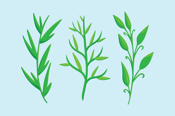 Fototapeta premium Green Floral Plant Grass Fern Twig Branch Floral Ornament Set Flat Vector