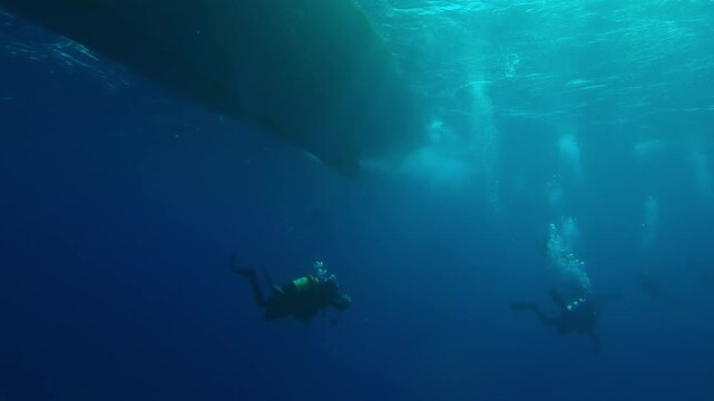 Following a group of scuba divers swim in turquoise water towards a diving boat on a sunny day in backlight, Slow motion of divers returning underwater to diving safari boat