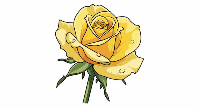 A single, vibrant yellow rose with dew drops on its petals