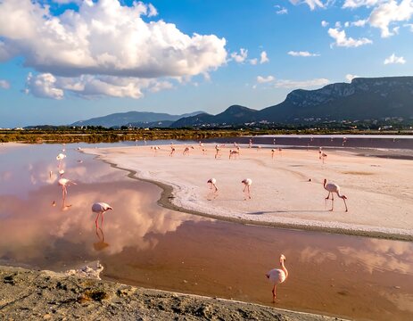 A picturesque scene of pink water reflecting clouds and flamingos in a scenic coastal area with distant mountains