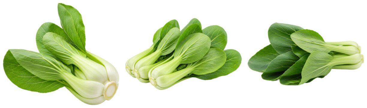 Fresh bok choy in various groupings, a crisp and healthy leafy green vegetable, isolated on transparent background.
