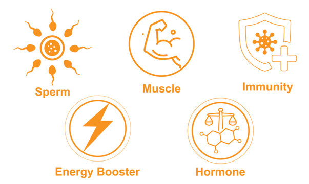 Modern healthcare icon set featuring immunity, sperm, muscle, energy booster, and hormone concepts in a clean minimal vector style ideal for medical, fitness, and wellness-related designs.