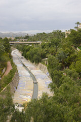 Fototapeta premium Palmeral of Elche, a palm orchard in Elche, Spain 
