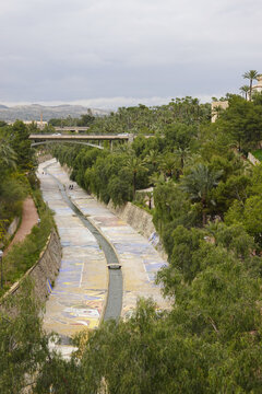 Palmeral of Elche, a palm orchard in Elche, Spain 