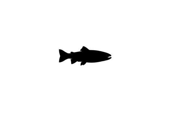 Salmon Fish Silhouette Isolated on transparent background