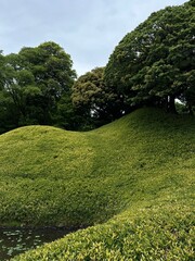 Obraz premium Green landscape with rolling hills and trees in Japanese park. Concept of nature, tranquility, and outdoor environment. Scenic view of lush greenery under cloudy sky.