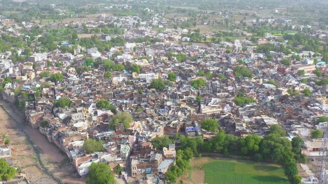 Dense housing pockets sit amid open green fields and farmland, portraying a balanced rural settlement pattern in Ranakpur Sadri, Rajasthan.