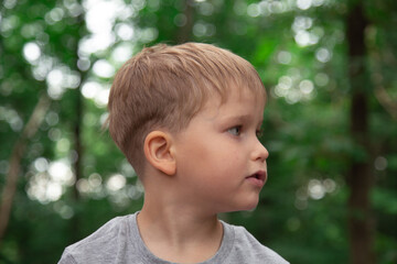 Side profile portrait of curious young boy looking away in green forest with soft blurred background © Татьяна Зелингер