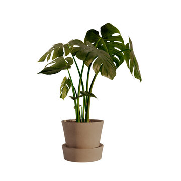 illustration 3d render Collection of potted plants  with various green plants in pots. Indoor plants, potted greenery, different types of plants, decorative pots, home decor raised vegetation elements