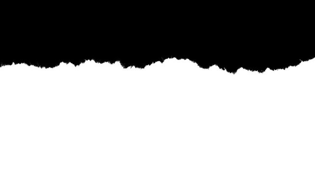 Large scale paper rough edge border with visible fiber texture. Black and white luma matte mask for video editing, stop-motion reveal and organic paper rip effect.