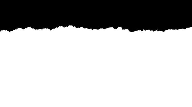 Medium scale paper rough edge border with visible fiber texture. Black and white luma matte mask for video editing, stop-motion reveal and organic paper rip effect.