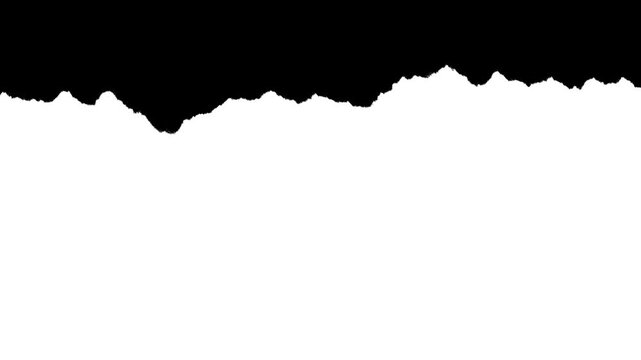 Medium scale paper rough edge border with visible fiber texture. Black and white luma matte mask for video editing, stop-motion reveal and organic paper rip effect.