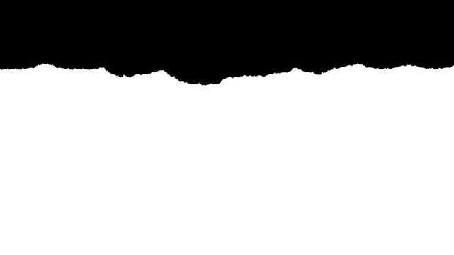 Small scale paper rough edge border with visible fiber texture. Black and white luma matte mask for video editing, stop-motion reveal and organic paper rip effect.