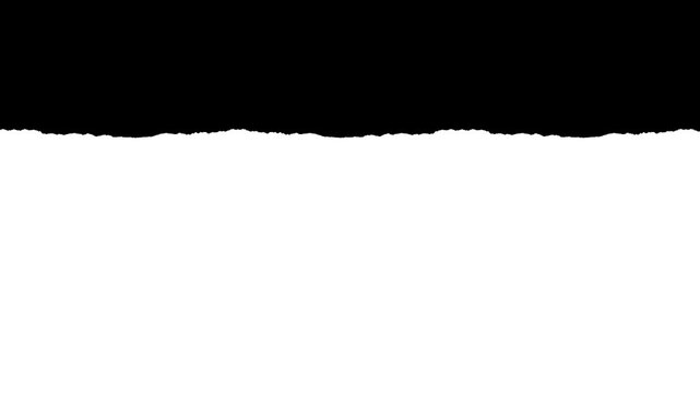 Tiny scale paper rough edge border with visible fiber texture. Black and white luma matte mask for video editing, stop-motion reveal and organic paper rip effect.