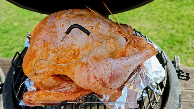 Large turkey roasting in kamado grill with temperature probes inserted, BBQ cooking process, outdoor grilling, meat preparation, thermometer control. 4K video footage of grilling process
