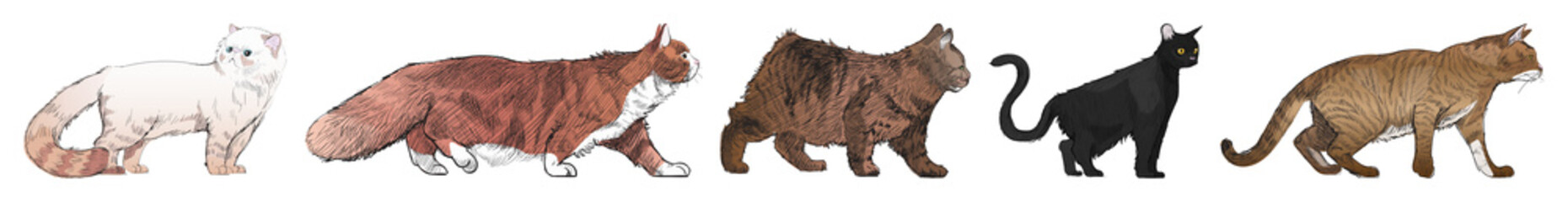 Illustrated diverse cat breeds lineup element set © Rawpixel.com