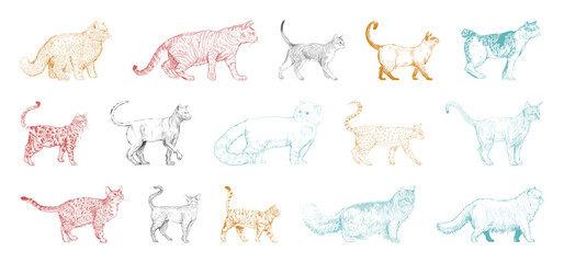 Colorful cat silhouette illustrations element set © Rawpixel.com
