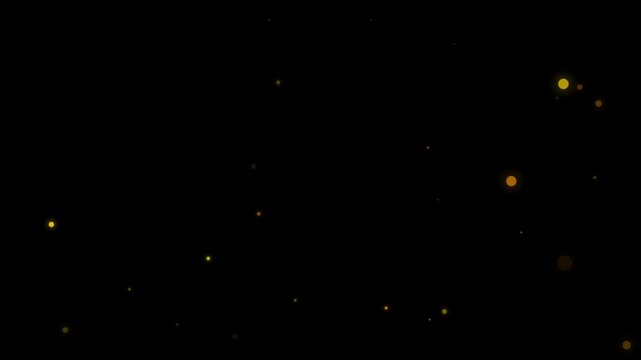 Golden particles floating animation. Soft glowing light dots drifting with cinematic bokeh effect on transparent background