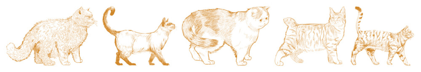 Vintage cat illustrations in sepia element set © Rawpixel.com