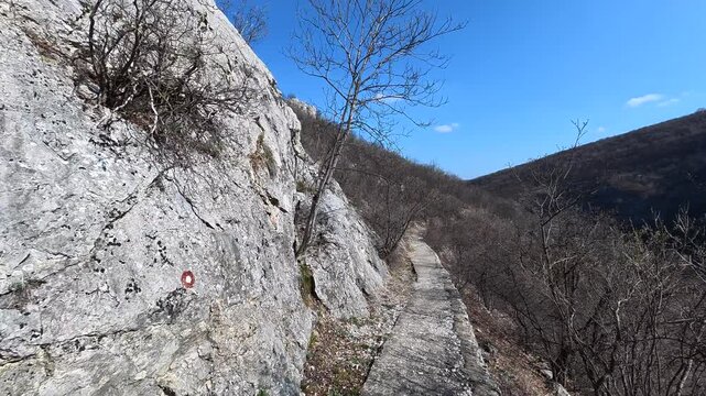 Sunlit rocky slope with sparse green growth. Lazarev (Lazar's) Canyon. Balkans, Serbia.