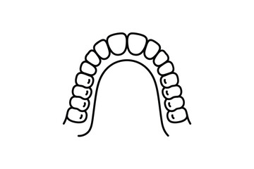 Simple line drawing of a complete set of human teeth in an arch © Pixel Loft