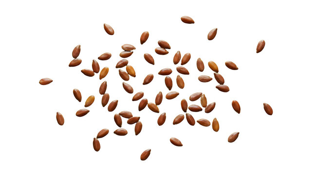 Numerous tiny brown flax seeds are randomly scattered and gently floating against a dark background with bright natural light isolated on transparent 