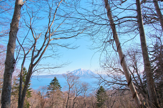 早春の木々の間から望む支笏湖と雪化粧した風不死岳・樽前山  Lake Shikotsu and Snow-Capped Mt. Fuppushi and Mt. Tarumae Viewed Through Bare Trees in Early Spring