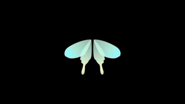 Flying insect bug wings animation