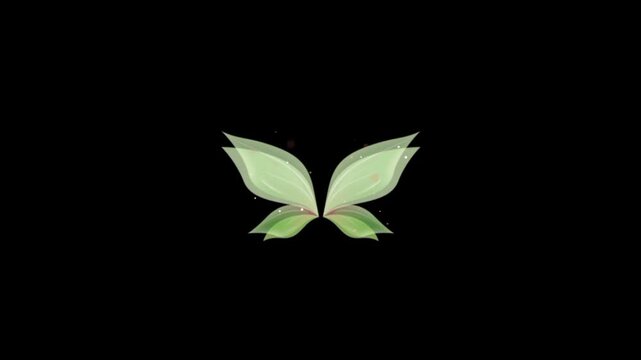 Fairy wings flying 3d animation 