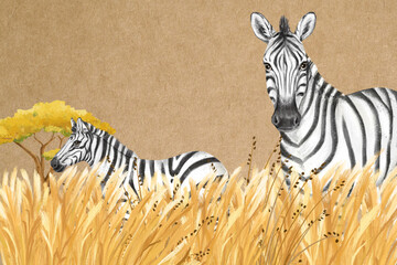 Obraz premium Cute zebra background, brown design