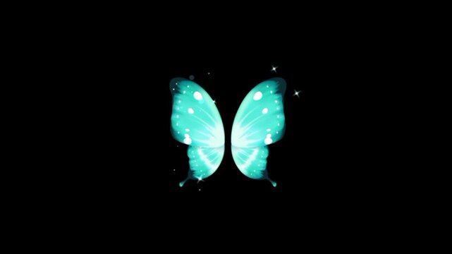Glowing Magic Fairies on Black Background