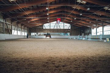 Horses training in an indoor arena with sand footing and a swiss flag overhead © Juanmarcos