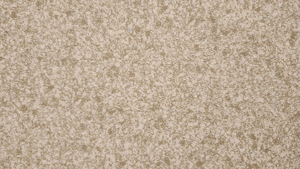 Fototapeta premium grayish stony background with a smooth texture