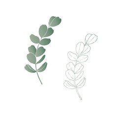 Obraz premium Vector green eucalyptus branch, graphic hand drawn isolated illustration. Botanical Christmas, winter, and wedding clipart. For designers, invitations, decoration, postcards, wrapping paper