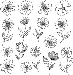 Obraz premium Collection of hand drawn flower illustrations, botanical line art