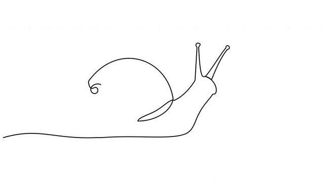 Animation of one line drawing of exotic snail with spiral shell mascot concept for organic food logo. High nutritious escargot healthy food. 4k