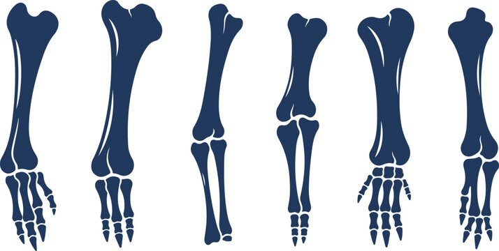 3d rendered illustration of human body showing knee shoulder and spine pain with stylish female silhouette design