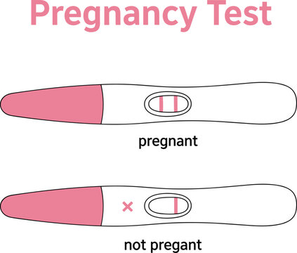 Pregnancy Test Results Positive and Negative Home Diagnostic Kit Vector Medical Illustration