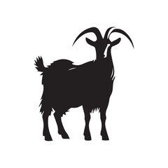 Fototapeta premium goat on a white background